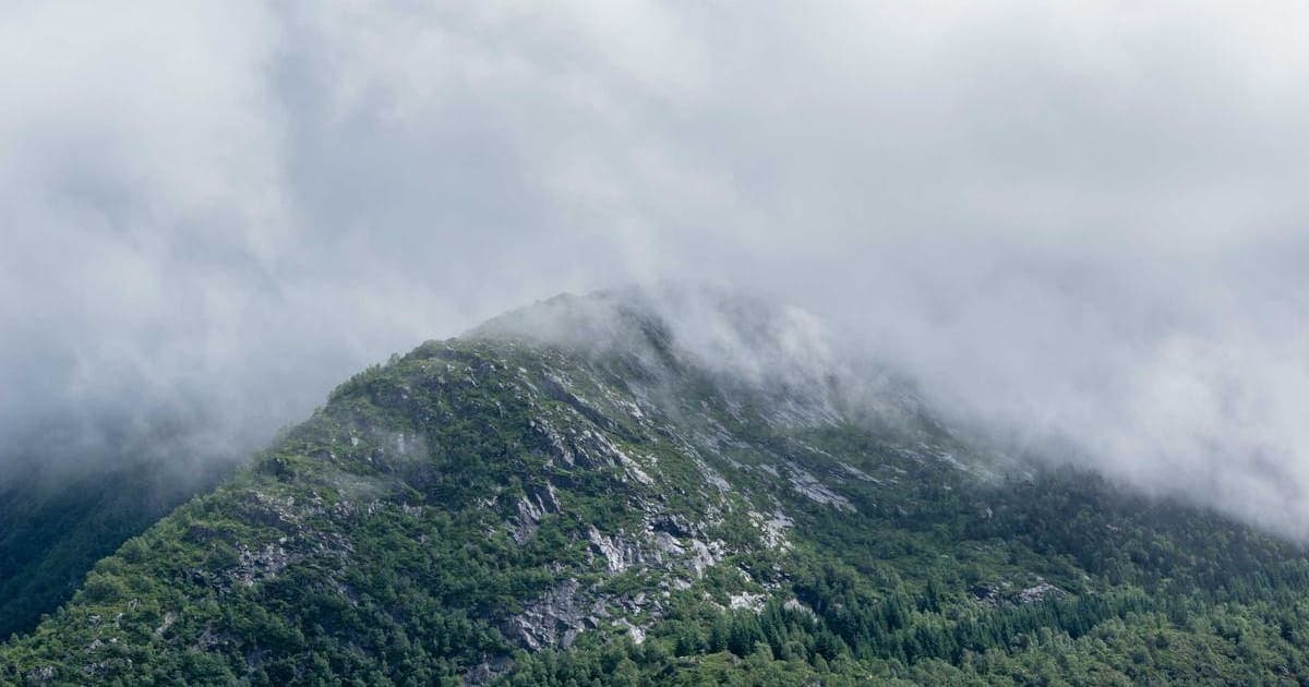 How to Download Threads Videos in 2026: The Complete Free Guide