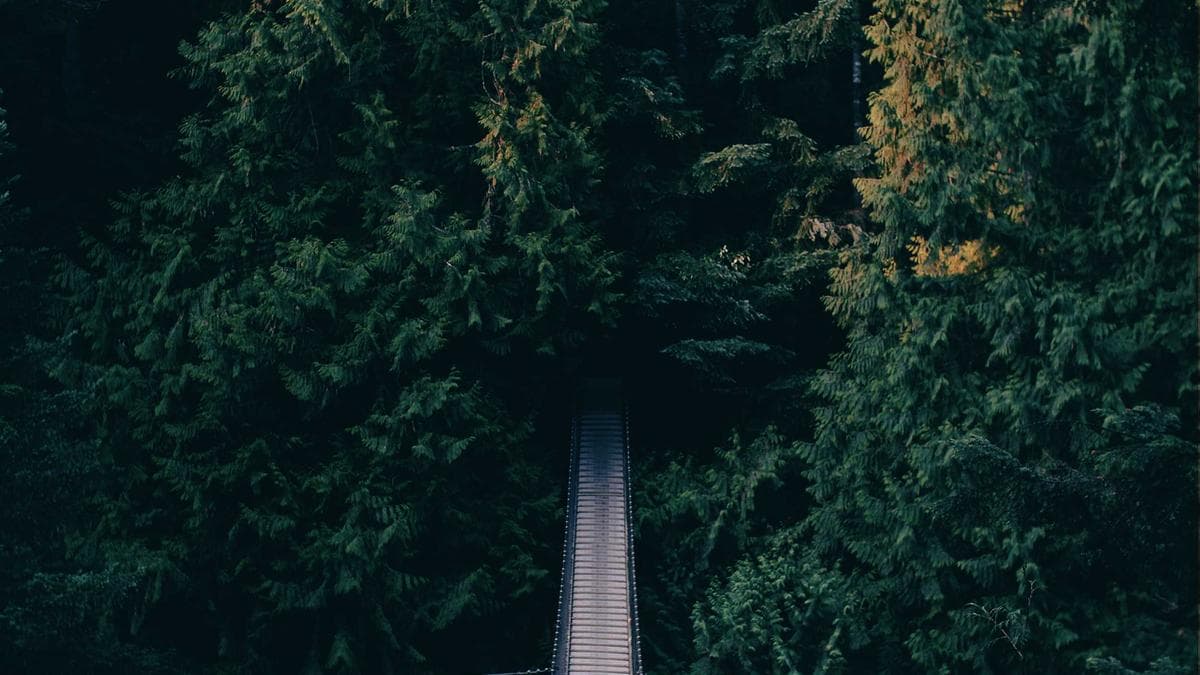 How to Save Threads GIFs as High-Quality MP4s